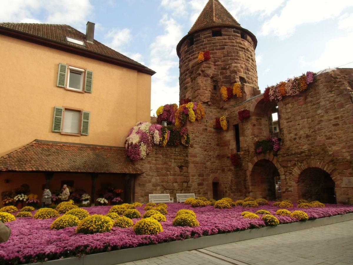 Ferienwohnung Keil Lahr (Baden-Wurttemberg) Exterior foto